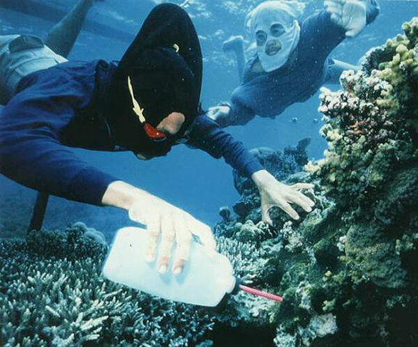 Cyanide fishermen in the Philippines. Image courtesy IRDC.