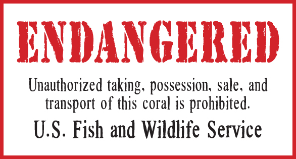 Comments on Endangered Species Act and Corals