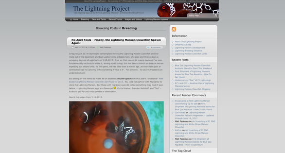 Lightning Project blog is a journal documenting the challenges and successes of Matt Pedersen encountered in his attempts to breed this unusual clownfish.