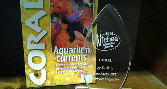 CORAL Wins Magazine of Year Award