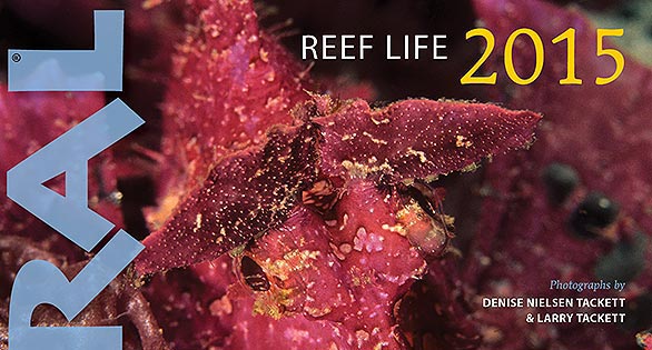 REEF LIFE 2015 Wall Calendar