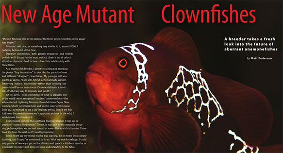 CORAL Excerpt: New Age Mutant Clownfishes