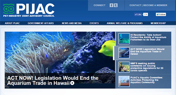 PIJAC issues Action Alert for Hawaii Legislature regarding Aquarium Trade