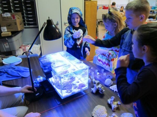 Students explode with questions as they touch coral skeletons and talk with each other