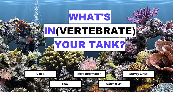 What’s In(vertebrate) Your Tank? Research Survey