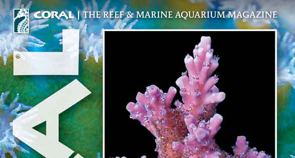 CORAL Magazine Table of Contents Sep/Oct 2015