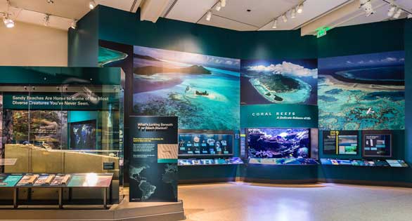 “America’s Reef Tank” at the Smithsonian