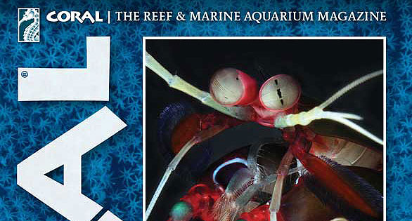CORAL New Issue “Reef Hitchhikers” Inside Look