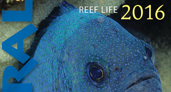 REEF LIFE 2016 Wall Calendar