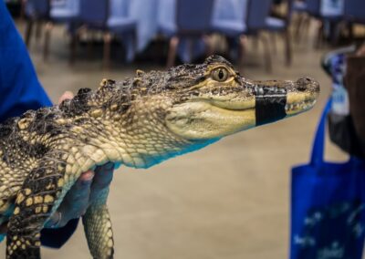 Gator Encounters was among the new exhibits at the World Pet Association’s third annual Aquatic Experience – Chicago, Nov. 6-8, 2015.