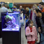 Marine Aquariums were well represented at The Aquatic Experience - Chicago. Image by CORAL / AMAZONAS Sr. Editor Matt Pedersen