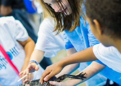 Gator Encounters was among the new exhibits at the World Pet Association’s third annual Aquatic Experience – Chicago, Nov. 6-8, 2015.