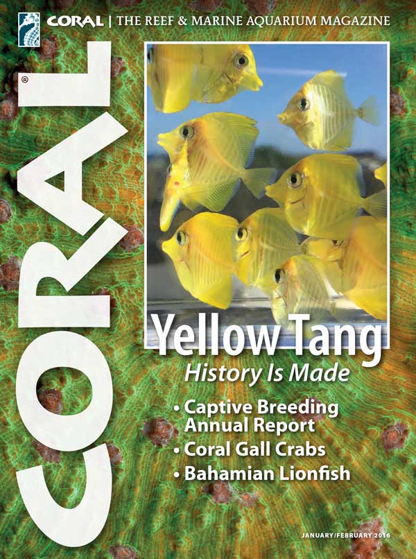 Click cover to order this back issue for your CORAL collection.