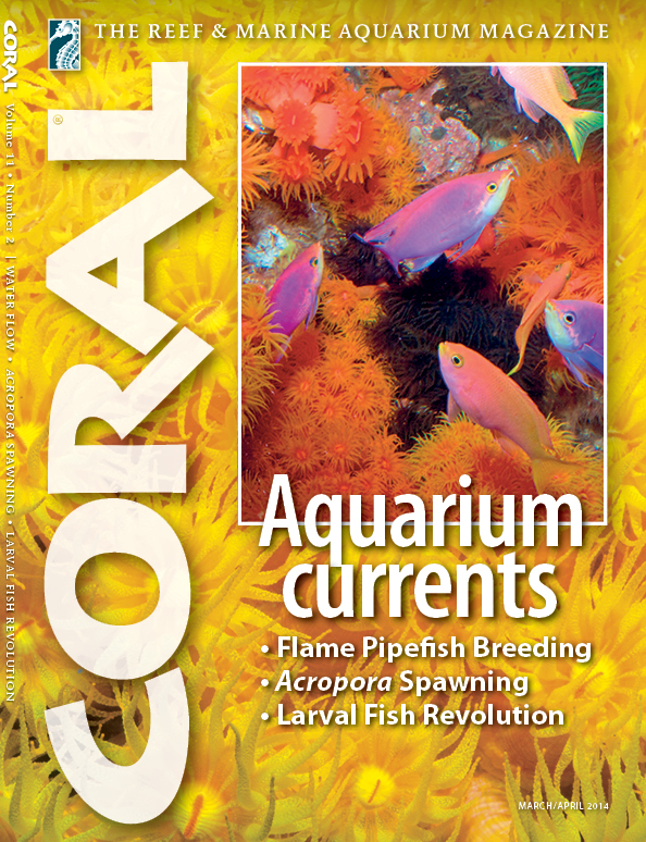 CORAL-11-2-Cover-for-Web.jpg
