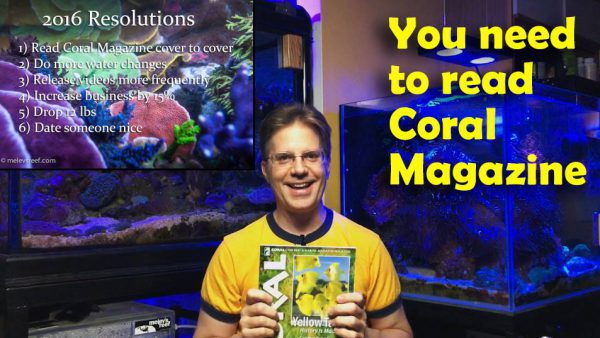 "You need to read CORAL Magazine" - Melev