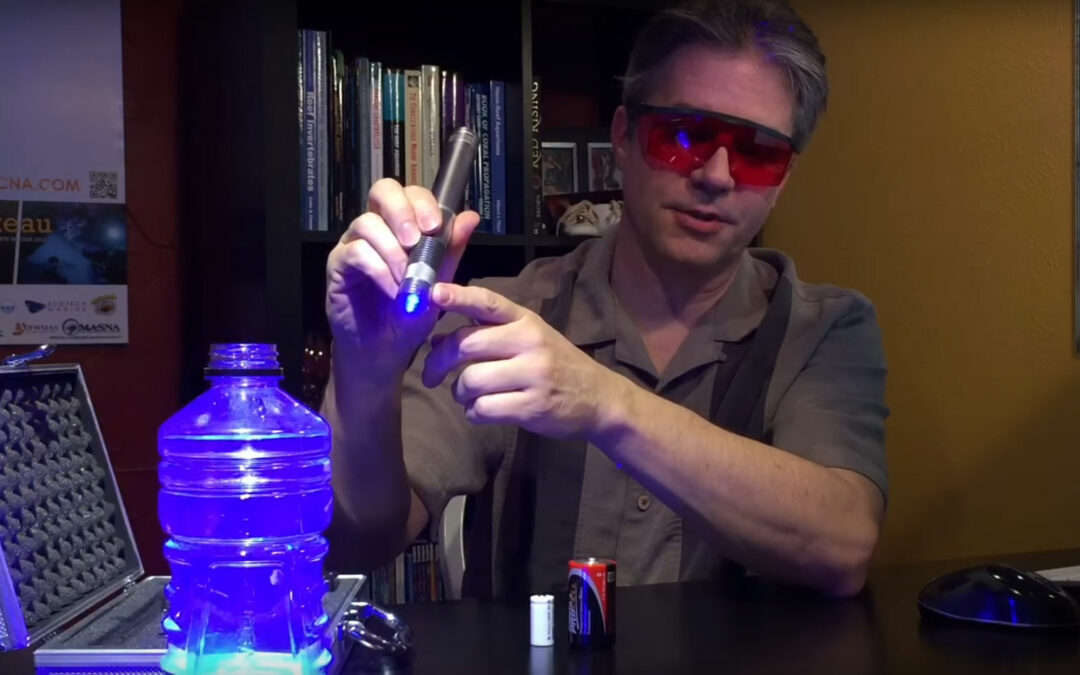 VIDEO: Laser Away Pest Anemones (Aiptasia & Majanos)
