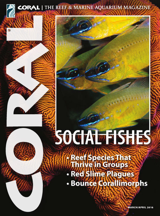 CORAL Magazine, March/April 2016 issue - Click cover to order this back issue for your CORAL collection.