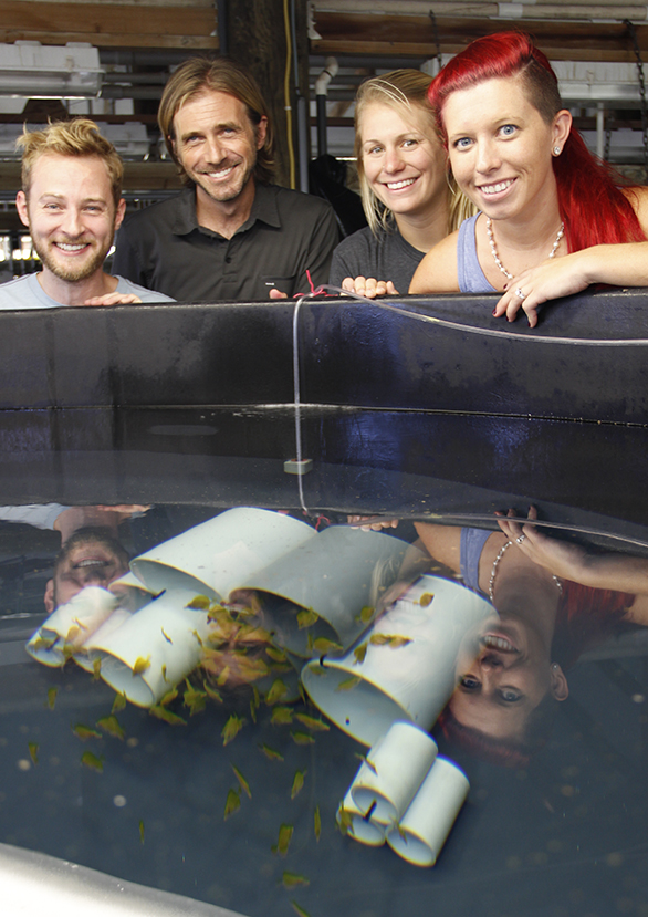 The OI Yellow Tang Project crew, left to right: Dean Kline, Chad Callan, Emma Forbes, and Erin Pereira-Davison. 