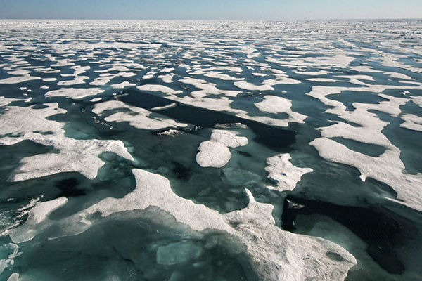 Summer melt ponds in the Arctic Sea recorded by the international research ship, SWERUS C-3 2015.