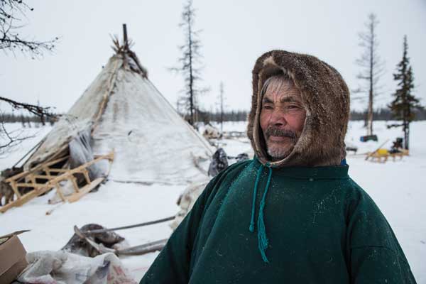 Nenets encampments are mobile and are moved frequently to follow their caribou herds. Nenets herders were the only distant witnesses to explosive methane events on the Yamal Peninsula of northern Siberia. Image: Dmitry Tkachuk.