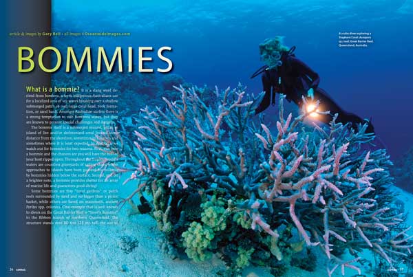 Gary Bell, one of Australia’s most accomplished underwater photographers, introduces our glorious cover feature, Bommies, starting out with the answer to "What is a bommie? (And why are we interested?) For aquarium aquascapers, this is a portfolio of inspiration from the Great Barrier Reef.