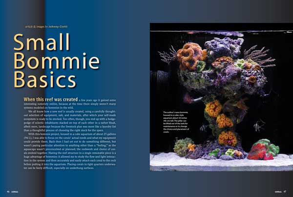 Johnny Ciotti explains the thought process behind his classic nano-bommie aquarium and provides stocking insights in Small Bommie Basics.