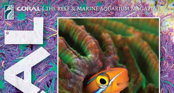 CORAL Magazine Table of Contents Jul/Aug 2016