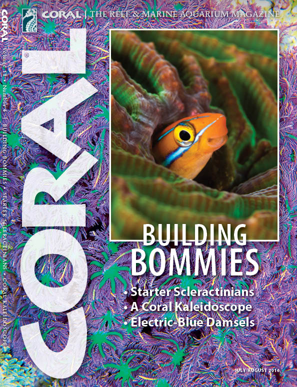 The cover of CORAL Magazine Volume 13, Issue 4 - Building Bommies - July / August 2016