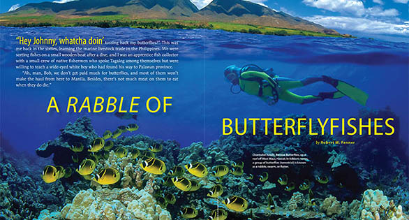 CORAL Magazine New Issue “BUTTERFLIES” Inside Look