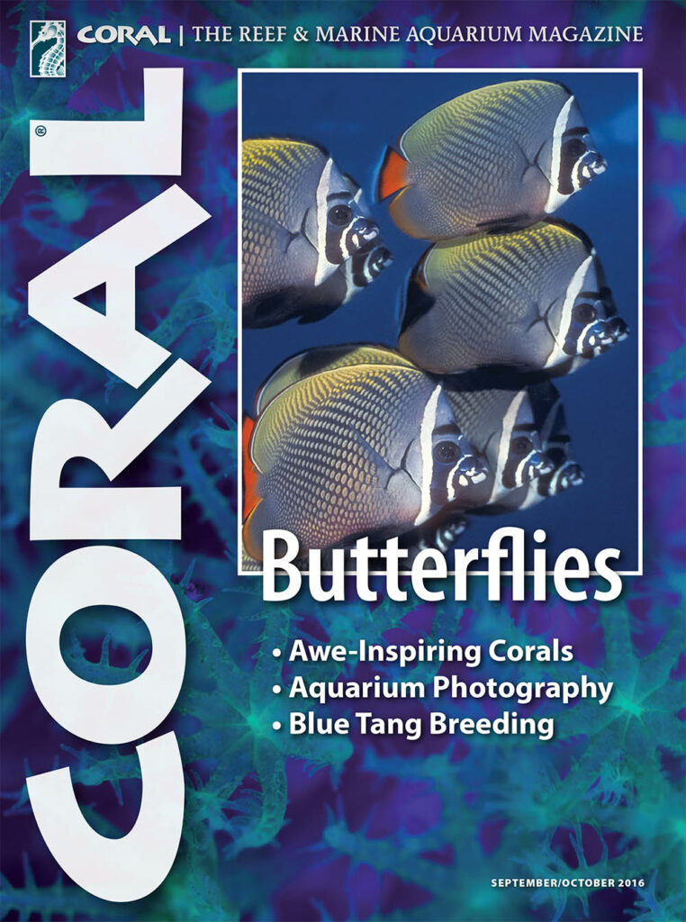 The cover of CORAL Magazine Volume 13, Issue 5 - Butterflies - September/October 2016