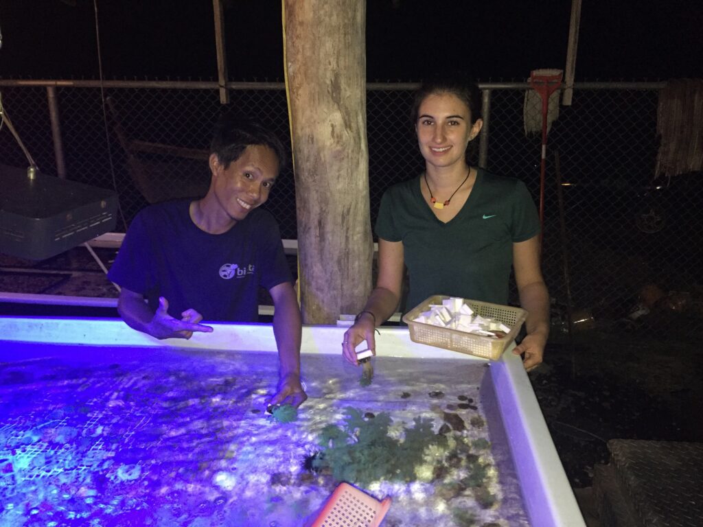 Graduate MASNA scholarship winner, Liz, at Biota Aquaculture Palau, February 2016<br /> Marine Ornamental Aquaculture Internship, prepping green Nephthea soft coral for shipment<br /> with Bradley Nareto (live feeds and larval care expert).