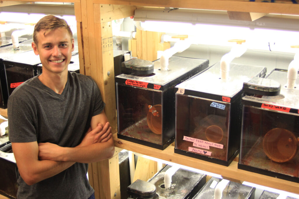 Undergraduate MASNA scholarship winner, Kory, standing with the anemonefish broodstock system he helped build. The system was part of a previous project that he worked on that studied juvenile Amphiprion ocellaris social hierarchy.