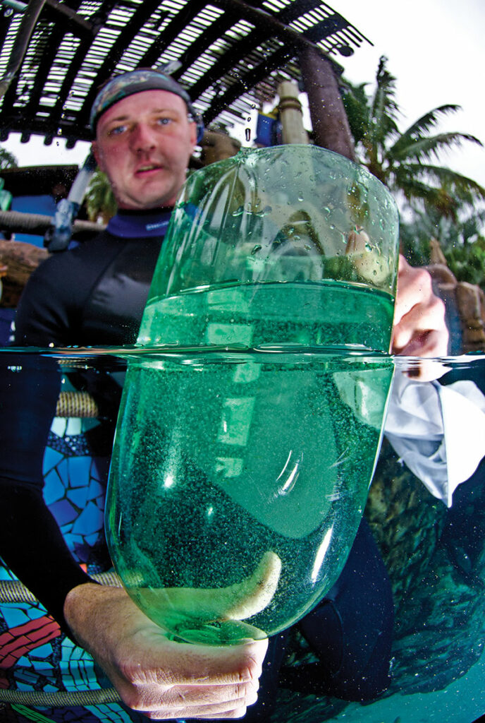 Grand Reef aquarist Kris Shannon holding newly collected Atlantic Blue Tang eggs. Two-liter soda bottles are used to separate the good (floating) eggs from the bad (sinking) ones prior to bagging them and moving them to the Tropical Aquaculture Laboratory in Ruskin, FL.