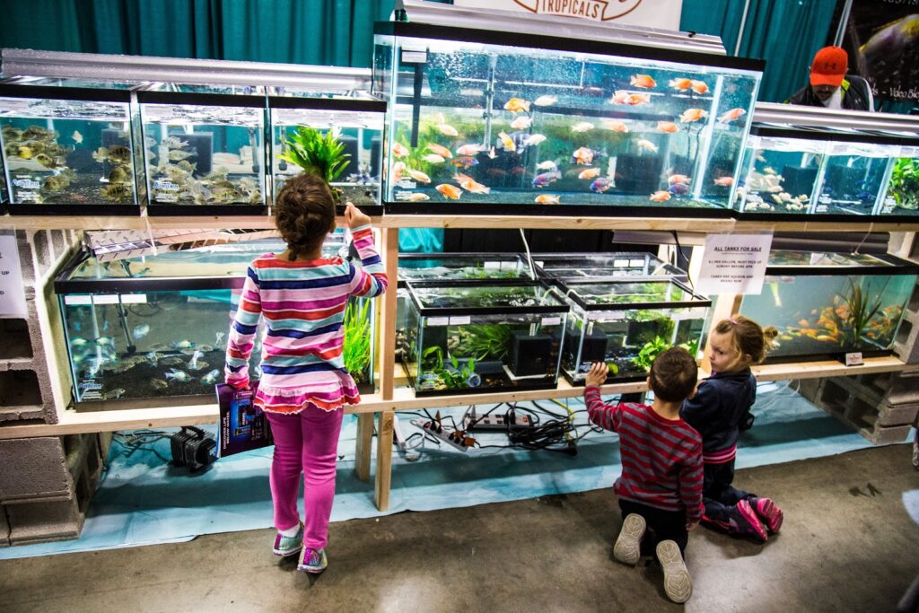 Children enjoying the display of fishes by Imperial Tropicals at the 2015 Aquatic Experience - Chicago. Image by Dan Woudenberg/LuCorp Marketing for the World Pet Association.