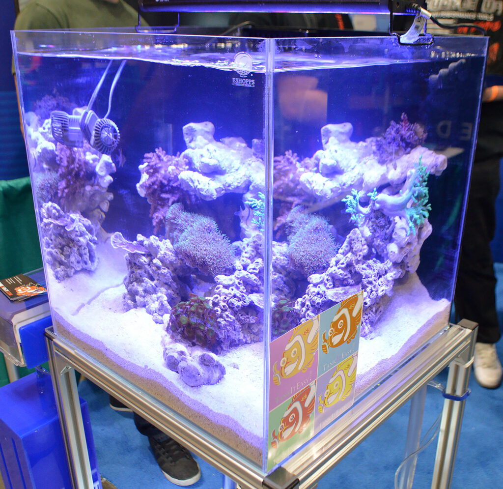 Corals and fish on display by ESHOPPS.