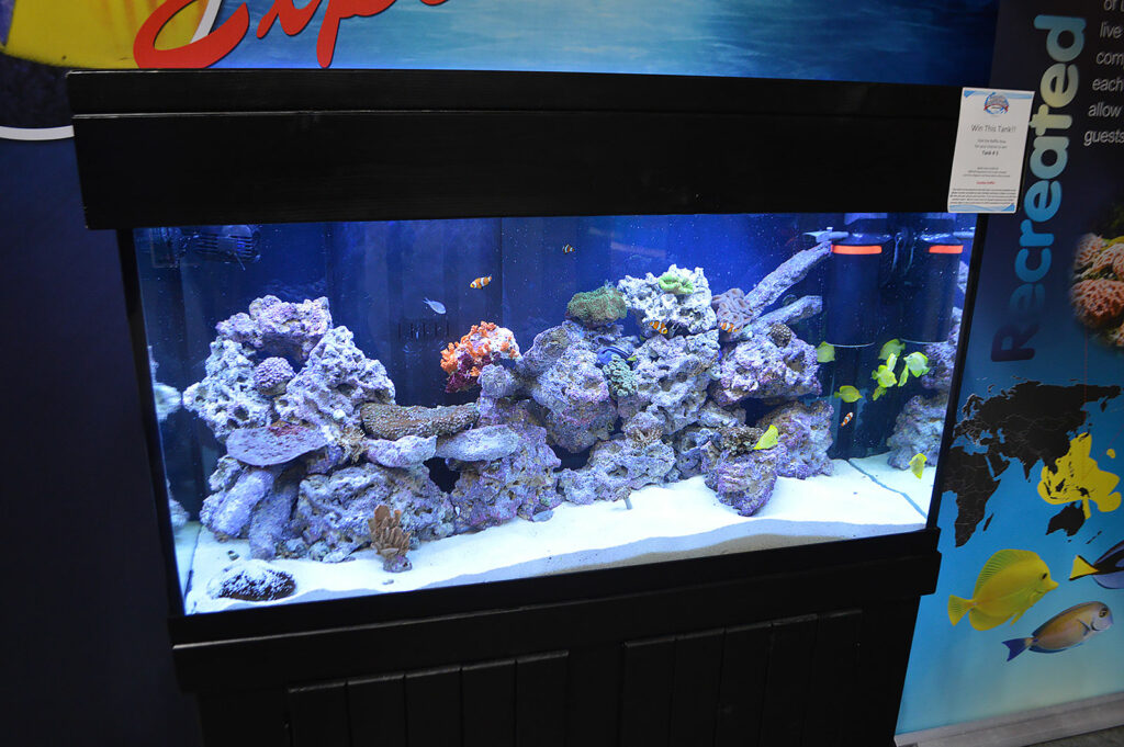 The main marine/reef/saltwater display that attendees saw upon entering the Aquatic Experience - Chicago.