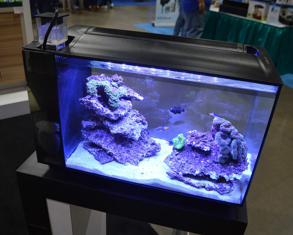 Fluval showed off multiple incarnations of the Evo 13.5 in their booth. This was the first.