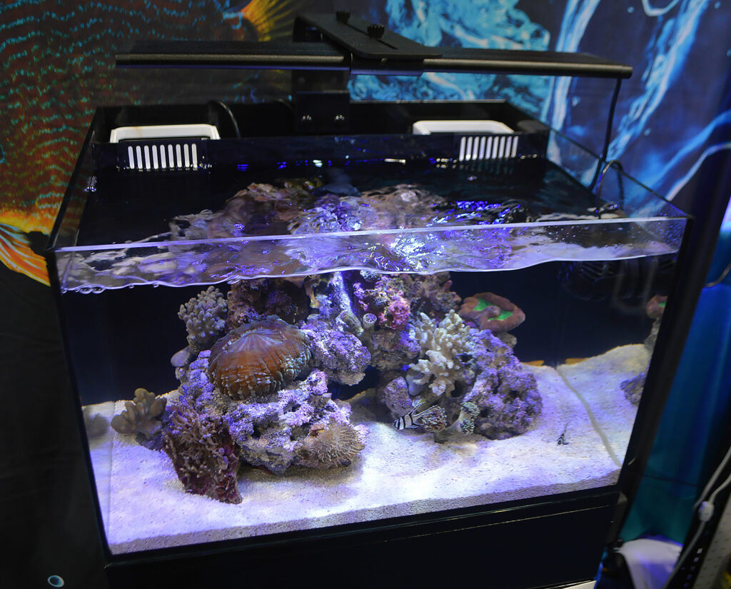 Cobalt debuted their new C-View line of glass all-in-one aquariums at the Aquatic Experience - Chicago.