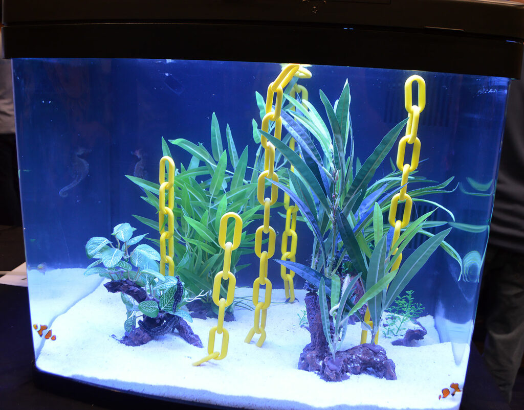 Seahorses were on display at the Beyond The Reef booth.