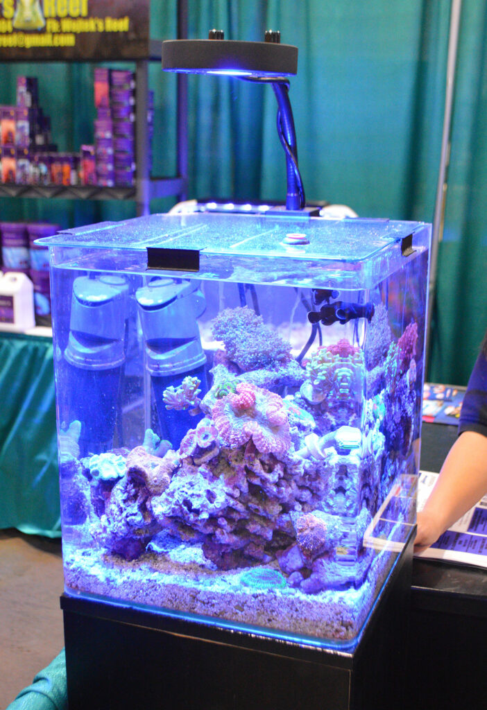 A smaller reef aquarium set up in the Kessil booth.