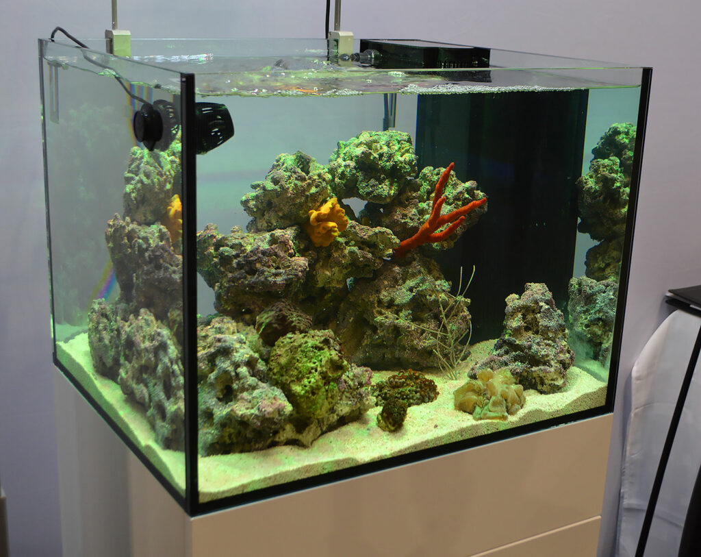 The marine aquarium display in the Hydor booth.