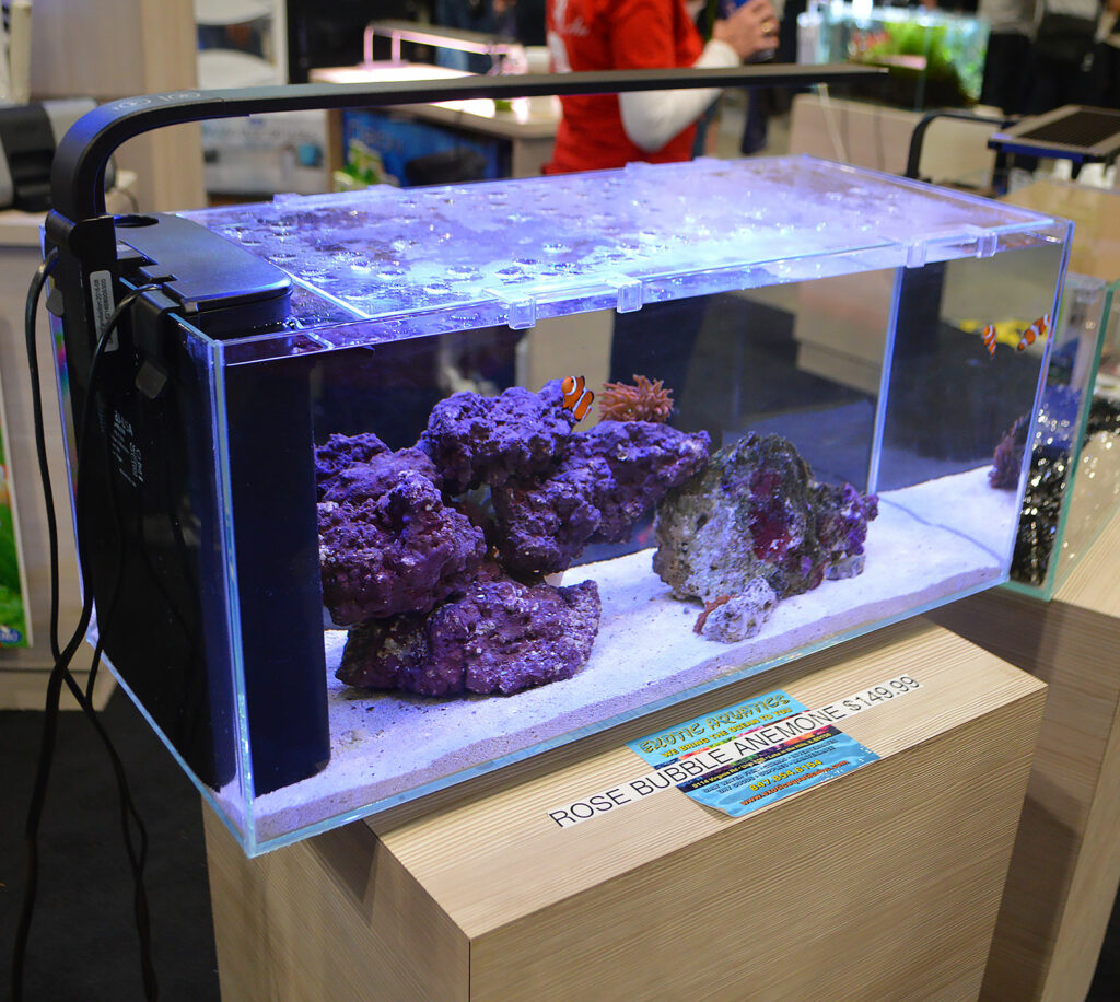 This peninsula-style all-in-one aquarium, JBJ's Rimless Desktop 10G Flat Panel, was also on display by JBJ.