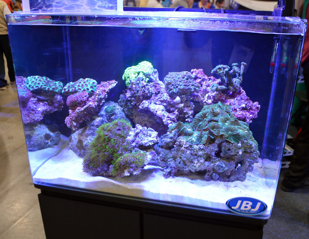 Another reef aquarium display, this one at the Pecan Grove Solutions booth.