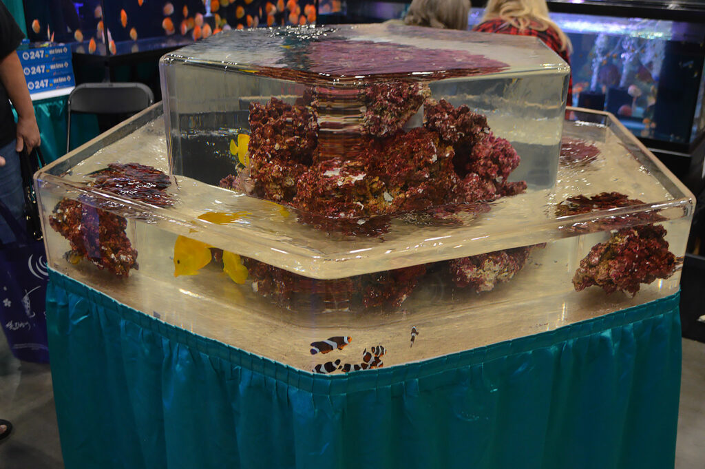 Aqua Visions was loaded with freshwater aquarium fish, but also included this display of saltwater offerings.