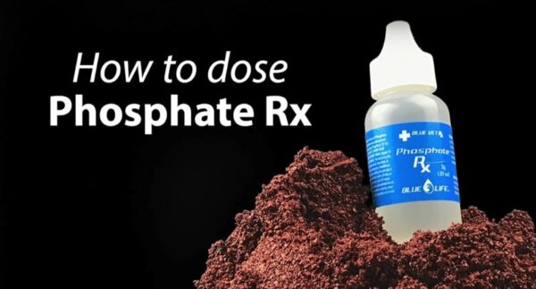 How to dose Phosphate Rx - the latest video from Marc Levenson of Melev's Reef