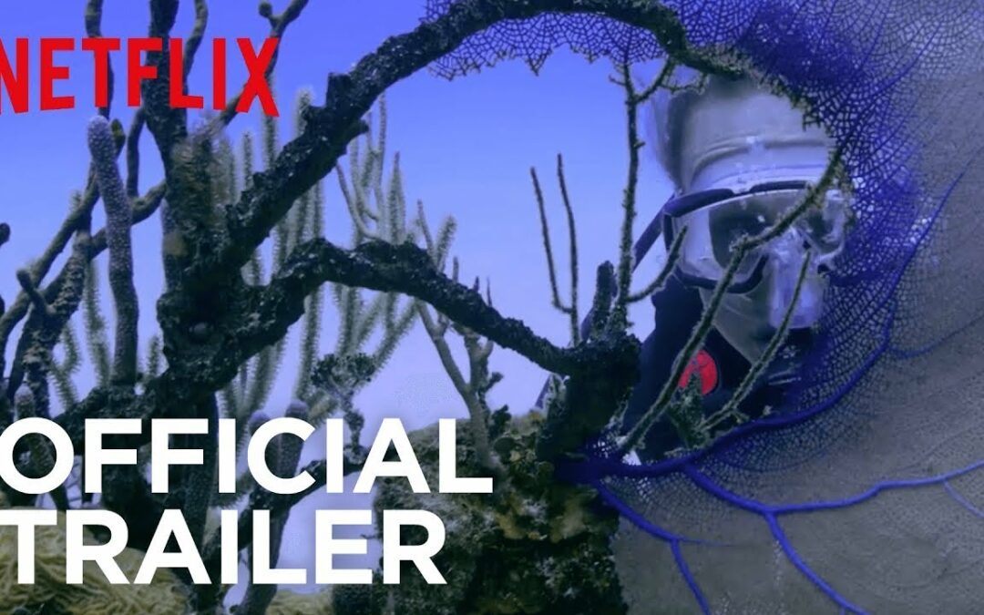 VIDEO: “Chasing Coral” Premiers on Netflix