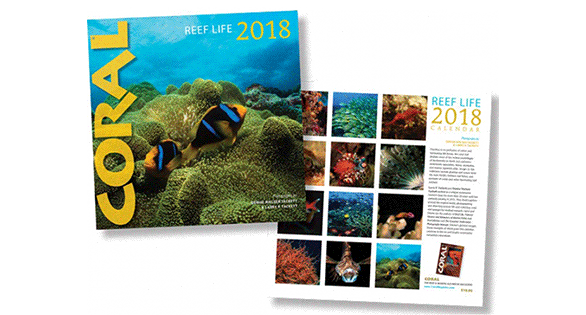 CORAL REEF LIFE Wall Calender 2018