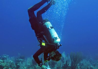 Recording data on Elacatinus lori reproduction in the yellow tube sponge Aplysina fistularis. So that he can avoid bumping corals while searching for neon gobies, Dr. Majoris spends the majority of his dives working upside-down.