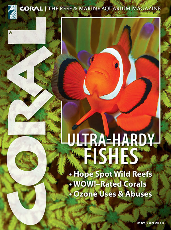 The cover of CORAL Magazine Volume 15, Issue 3 – ULTRA-HARDY FISHES – May/June 2018. On the cover: Percula Clownfish, Amphiprion percula, by Gary Bell©oceanwideimages.com. Background: Tubipora sp., by Daniel Knop