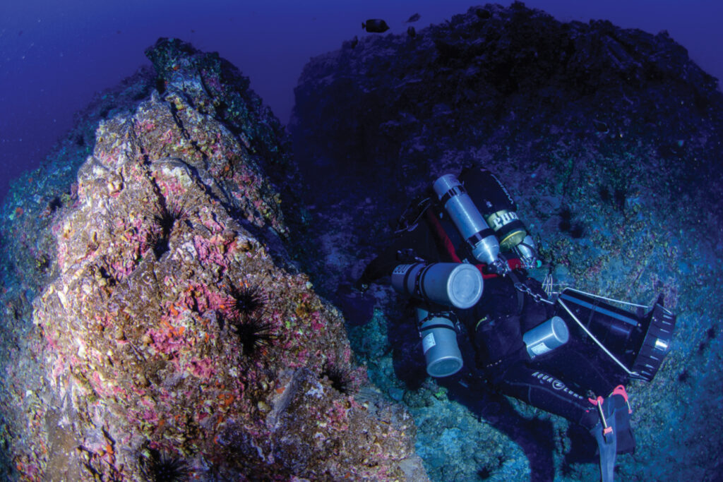 Collection site of the holotype 83 m depth, Hanga Piko, Rapa Nui (Easter Island, Chile). Image Credit: ZooKeys/Dr. Luiz Rocha